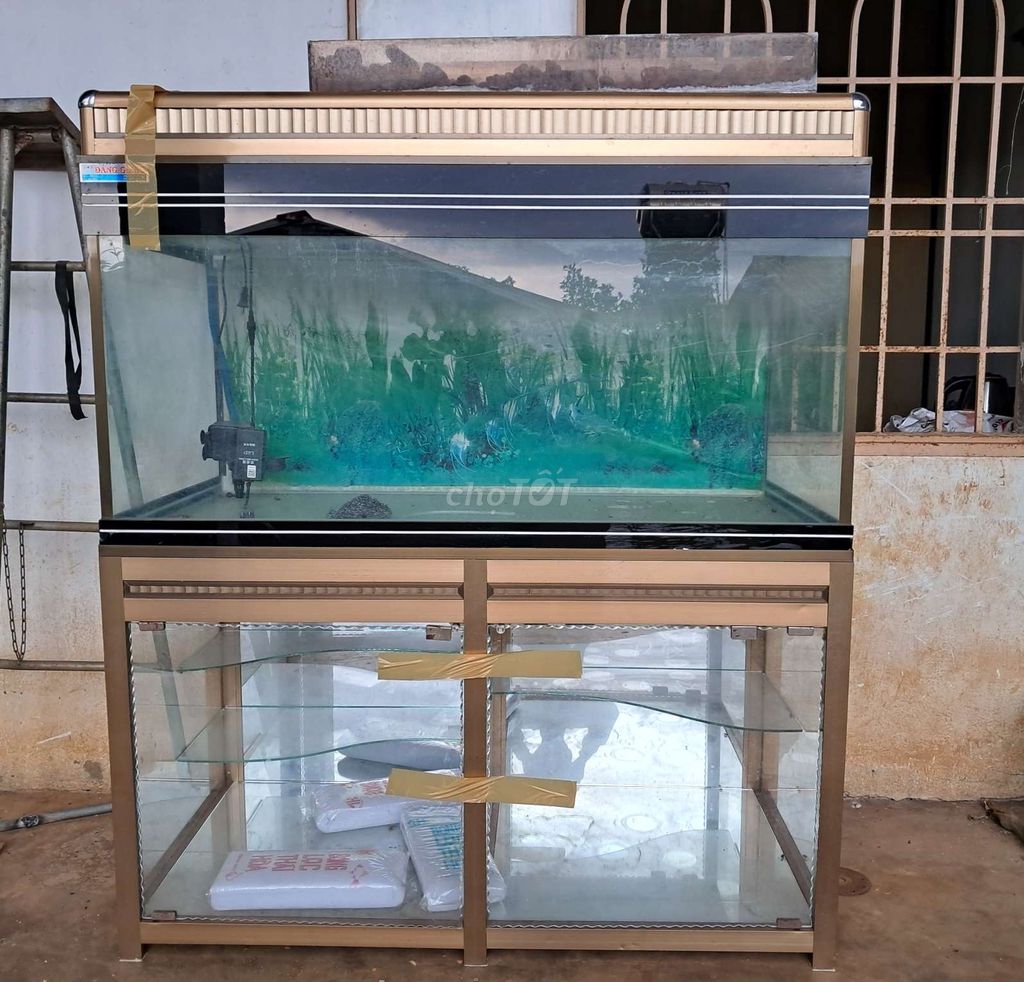 Bể cá kiểng. Mua bán Phụ kiện, Thức ăn, Dịch vụ tại Thành phố Bảo Lộc Lâm Đồng được đăng bởi Quang hình 1