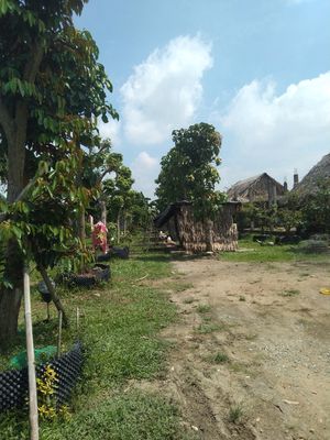Cần bán đất ngay Mặt tiền Quốc Lộ 19 huyện Tây Sơn tỉnh Bình Định