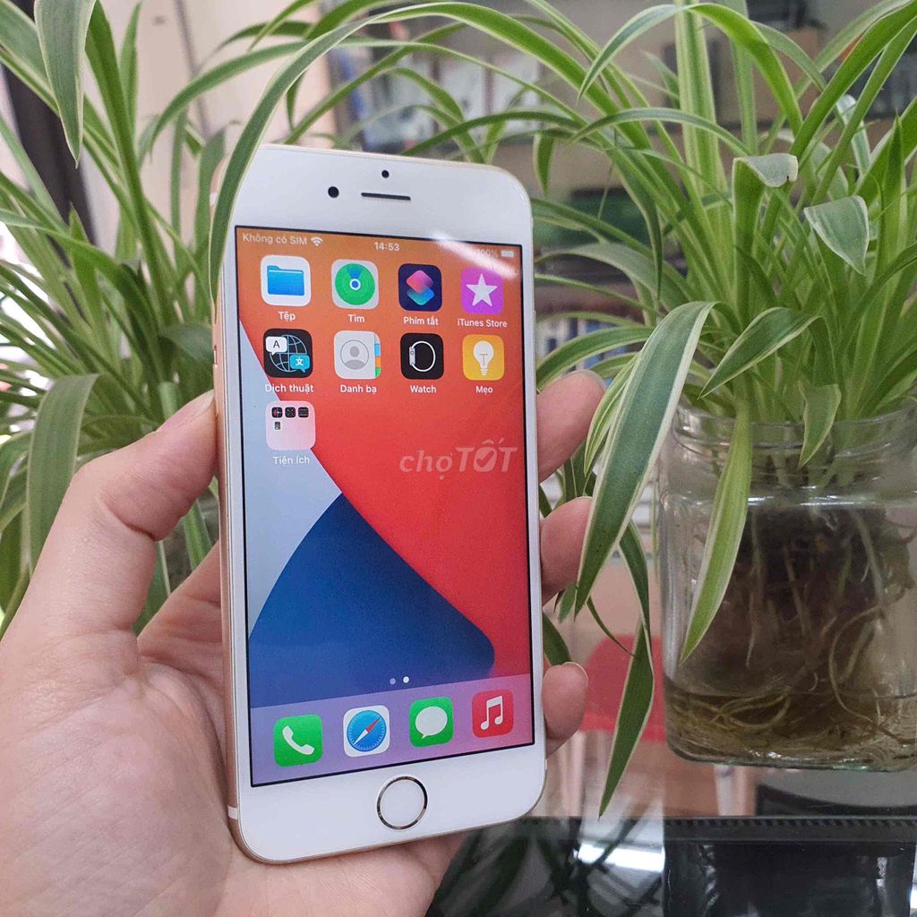 Apple iPhone 6s 16GB Vàng đồng 16G. Mua bán Điện thoại tại Quận Thanh Xuân Hà Nội được đăng bởi Ha Tien Duy hình 1