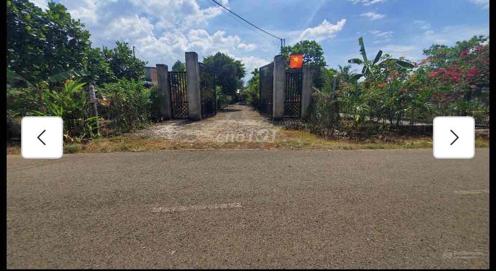 BÁN 4062M2 ĐẤT CHÍNH PHỦ ĐÃ PHỦ HỒNG-VỊ TRÍ ĐẸP, GIÁ TỐT. Mua bán đất tại Huyện Thống Nhất Đồng Nai được đăng bởi Công Tài hình 1