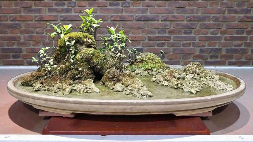 Tiểu cảnh hòn non bộ Đá thấm thủy. Mua bán Cây cảnh, đồ trang trí tại Quận Hải Châu Đà Nẵng được đăng bởi Trần Xuân Dương hình 1