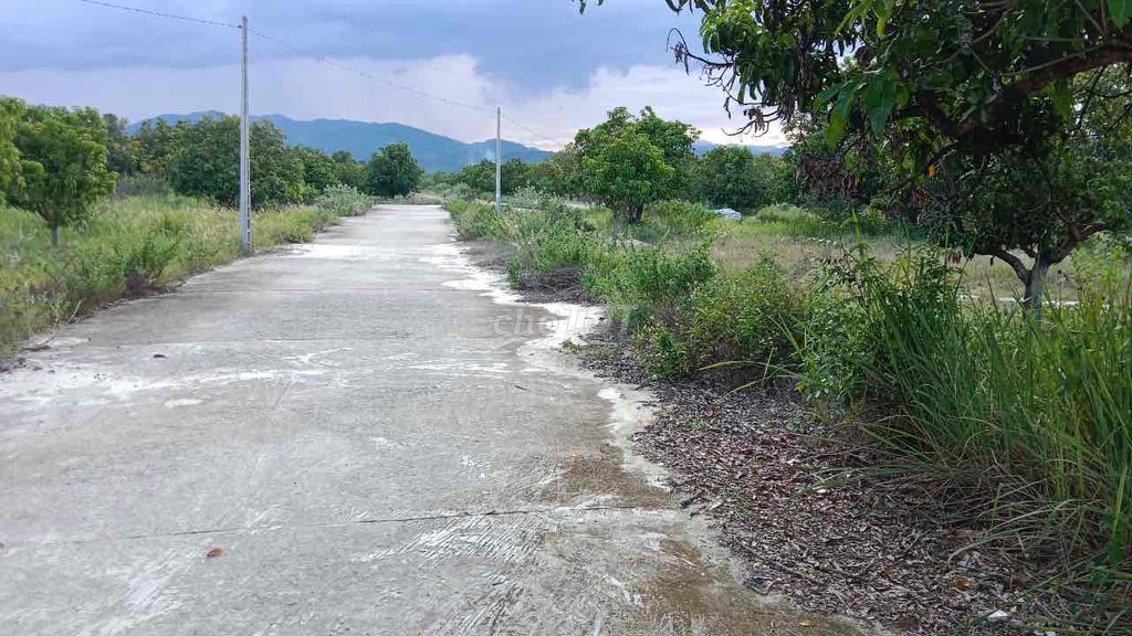 Bán Đất Thị Trấn Cam Đức-Cam Lâm.. Mua bán đất tại Huyện Cam Lâm Khánh Hòa được đăng bởi nguyễn tiến dũng hình 1