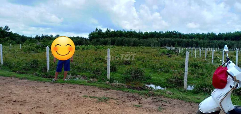 Bán đất mặt tiền xã Phước Hiệp