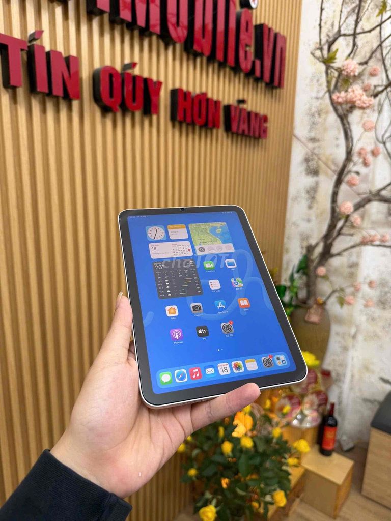 Apple iPad Mini 6 Wifi 64GB Like New 99%. Mua bán Máy tính bảng tại Quận Đống Đa Hà Nội được đăng bởi KT Hà Nội Mobile hình 1