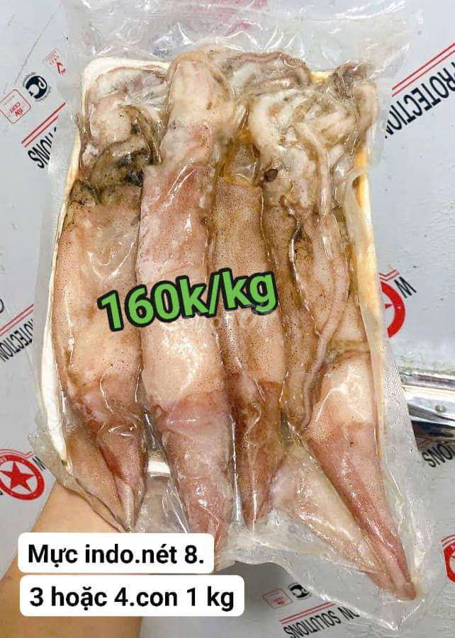 Mực ống indo nét 8 __ 160k /kg