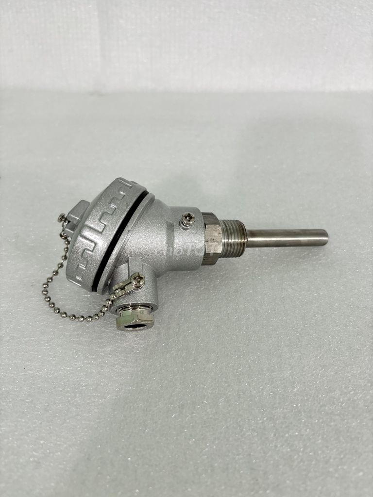 Dò nhiệt củ hành phi 6*100. Mua bán Đồ chuyên dụng, Giống nuôi trồng tại Huyện Long Thành Đồng Nai được đăng bởi như quỳnh hình 1