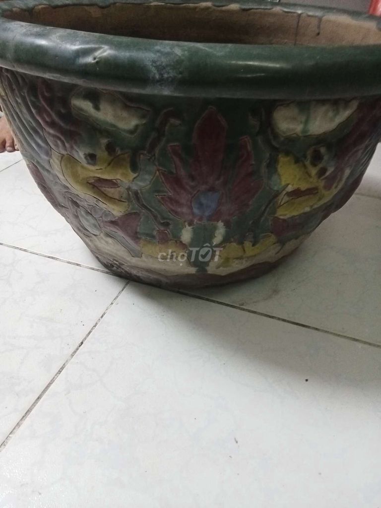 Chậu cảnh Gốm sứ Nhiều màu 55cm Cũ. Mua bán Cây cảnh, đồ trang trí tại Quận 4 Tp Hồ Chí Minh được đăng bởi Trần Văn Sơn hình 1