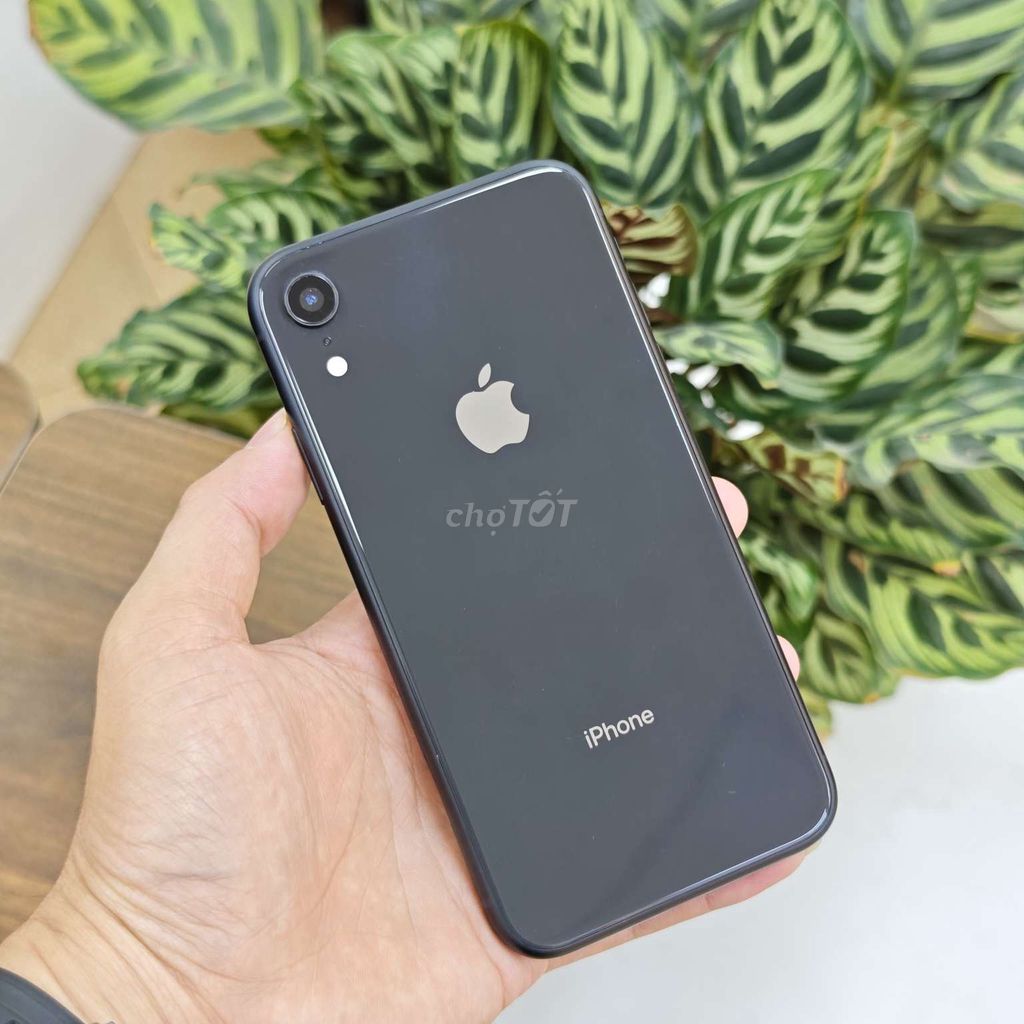 🍎iPhone Xr| 64GB| Đen 99%Đã thay vỏ, thay pin 100%. Mua bán Điện thoại tại Quận Lê Chân Hải Phòng được đăng bởi 444 Tô Hiệu OK Mobile HP hình 1