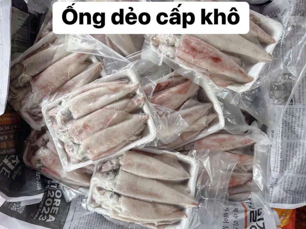 Mực dẻo