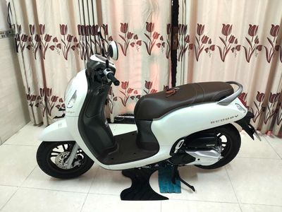 Honda Scoopy 2024 chính chủ mới như xe hãng 99%. Mua bán Xe máy tại Quận Gò Vấp Tp Hồ Chí Minh được đăng bởi Mr Lam