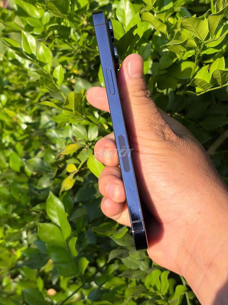 Apple iPhone 14 Pro Max Tím Mỹ. Mua bán Điện thoại tại Huyện Long Thành Đồng Nai được đăng bởi mua hàng  hình 1