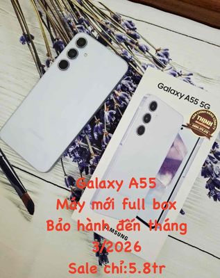 Galaxy A55 mới full box Bảo hành hãng đến Th3/2026. Mua bán Điện thoại tại Thành phố Huế Thừa Thiên Huế được đăng bởi Chuyên Hàng Công Ty Giá Rẻ FPT Và TGDD