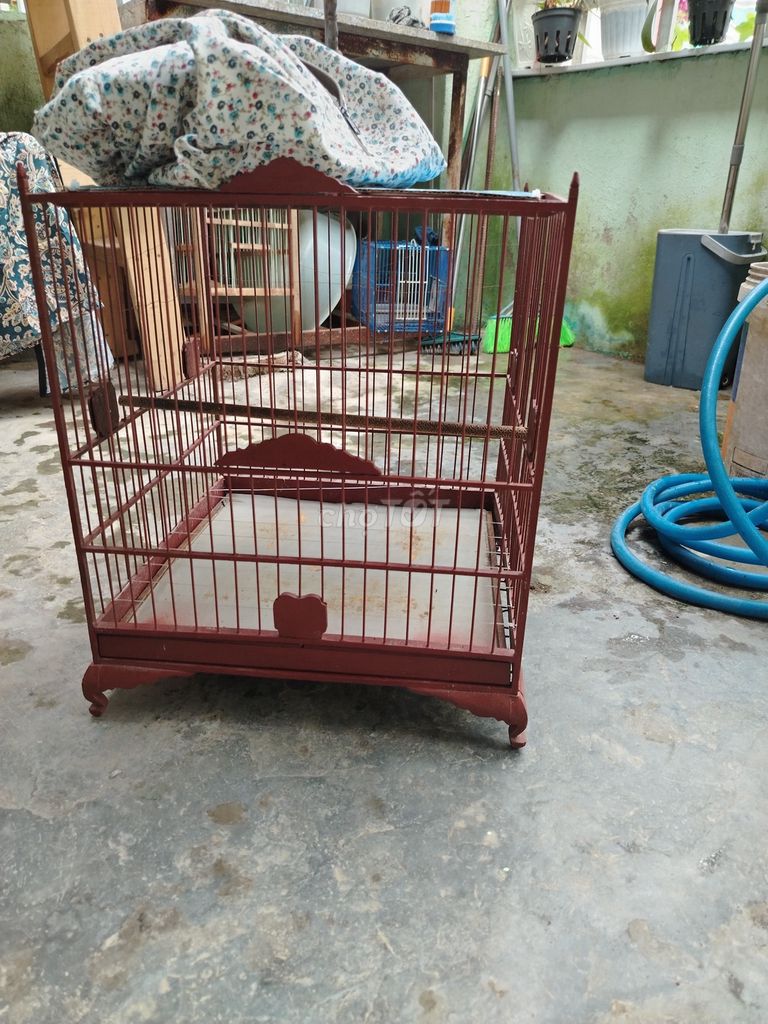 Lồng chim Chào mào Nâu. Mua bán Phụ kiện, Thức ăn, Dịch vụ tại Quận Liên Chiểu Đà Nẵng được đăng bởi Mẫn hình 1