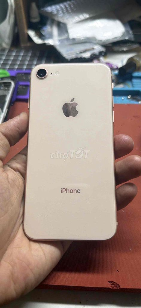Apple iPhone 8 64GB Rose. Mua bán Điện thoại tại Quận 8 Tp Hồ Chí Minh được đăng bởi Phan Xuân Yến hình 1