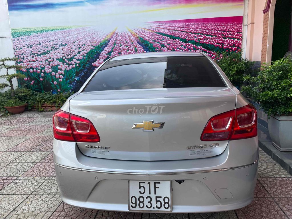 Ảnh số 5