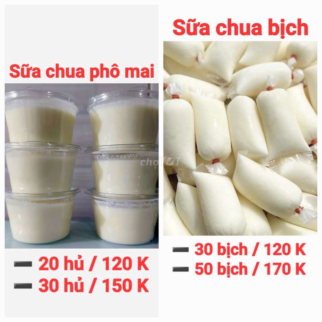 ➖ Sữa chua Phô mai
➖ Sữa chua bịch