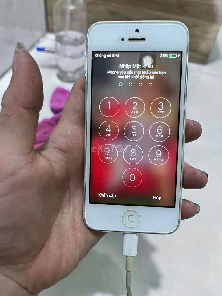 iPhone 5 Trắng. Mua bán Điện thoại tại Huyện Nhà Bè Tp Hồ Chí Minh được đăng bởi quochi hình 1