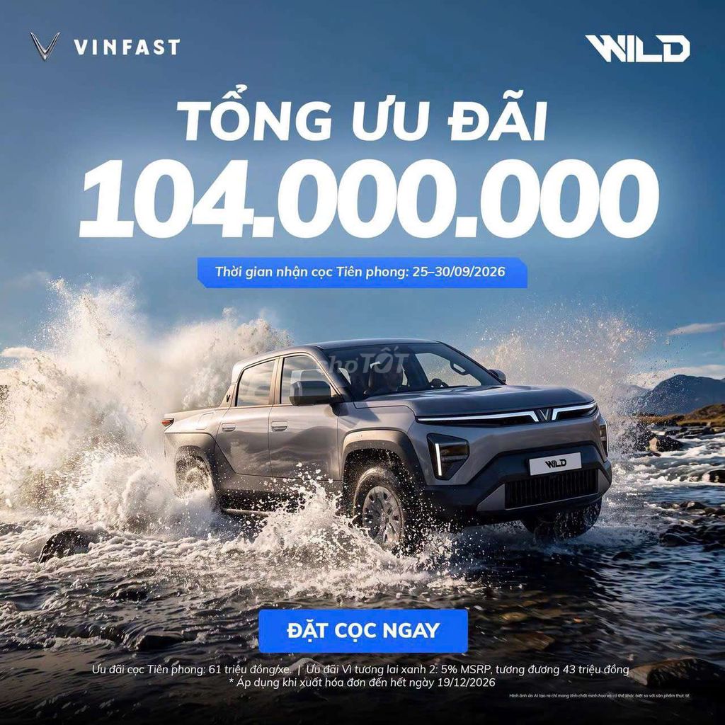 Пикап VinFast VF Wild серый