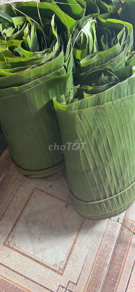 Lá chuối gói xôi, gói bánh chưng giá 8k 1 bó. Mua bán Đồ ăn, thực phẩm và các loại khác tại Thành phố Thủ Đức Tp Hồ Chí Minh được đăng bởi BÁN HÀNG ONLINE VÀ TUYỂN DỤNG hình 1