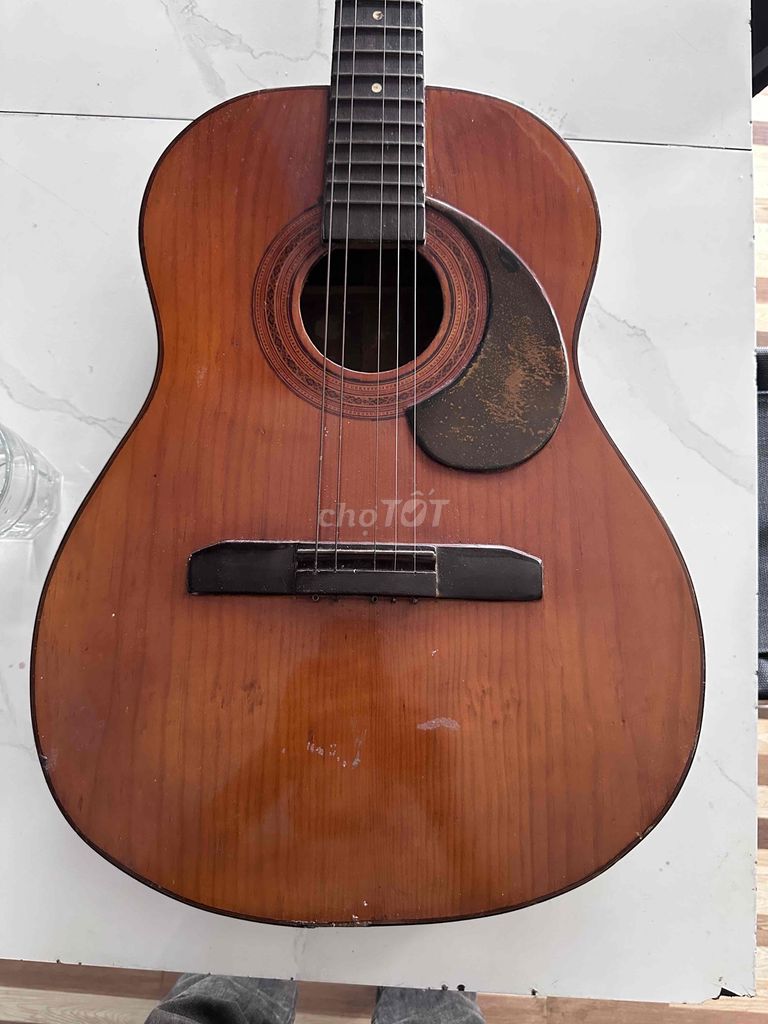 đàn guitar thùng tập