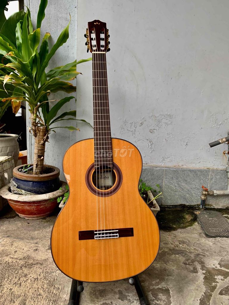 Đàn Guitar Cordoba C7CD