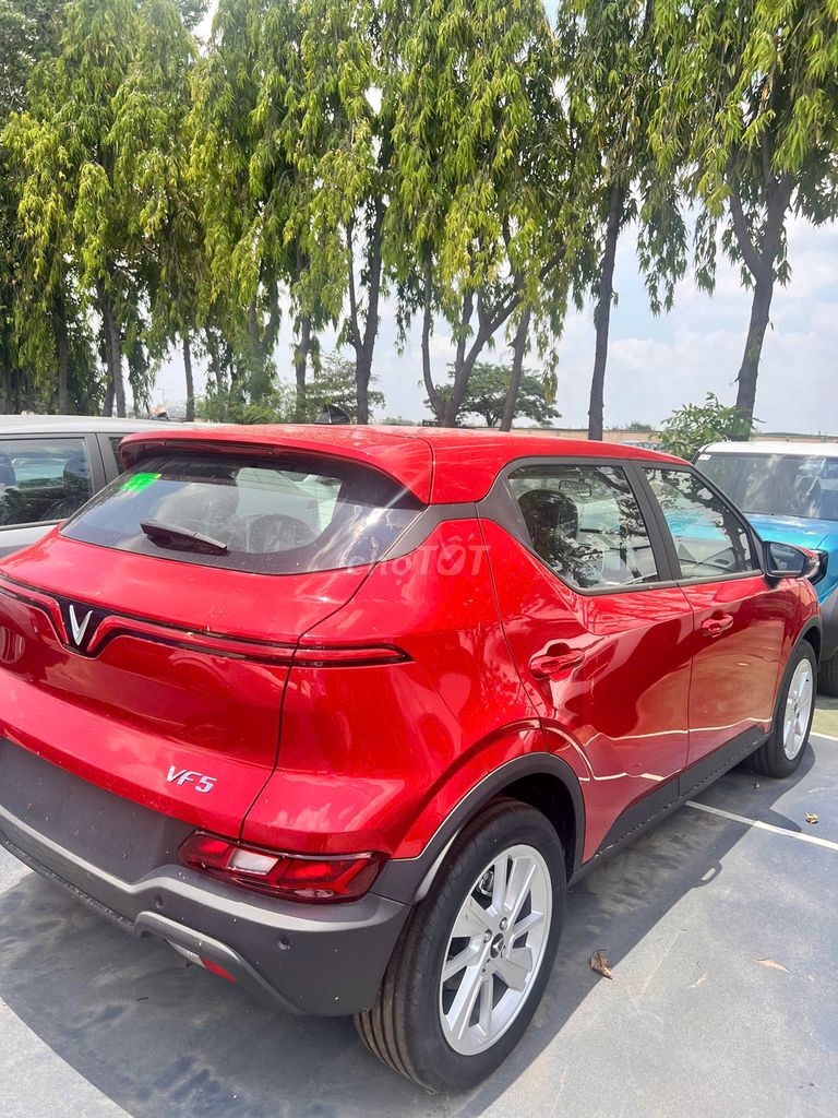 Ảnh số 5