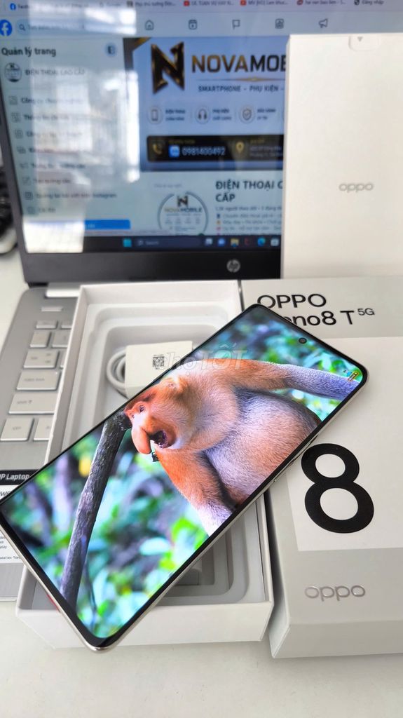 OPPO Reno 8T 5G 256GB FULLBOX. Mua bán Điện thoại tại Quận Tân Bình Tp Hồ Chí Minh được đăng bởi MobileShop Nova hình 1