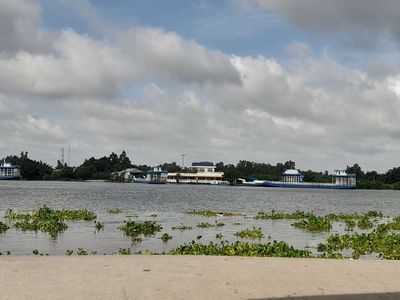 1700m2 đất thổ xây nhà vườn nghĩ dưỡng chỉ 1.5 tỷ. Mua bán đất tại Huyện Tân Trụ Long An được đăng bởi Thanh Hùng