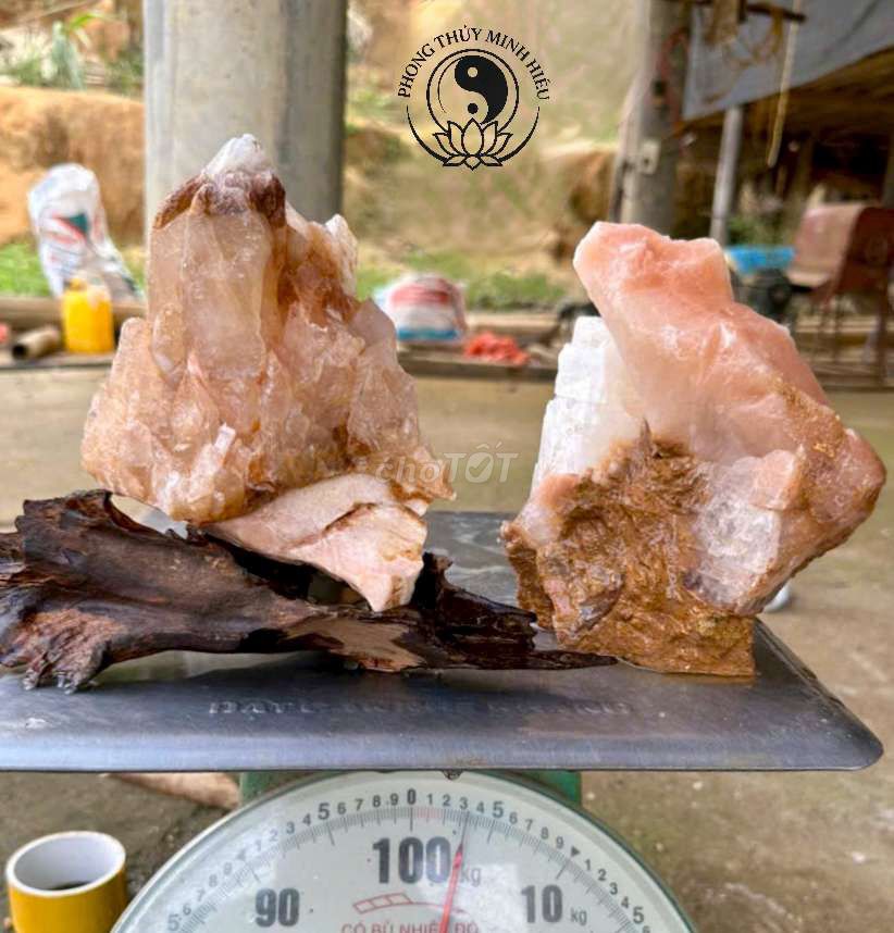 Tiểu cảnh đá Canxit Gỗ lũa. Mua bán Cây cảnh, đồ trang trí tại Quận Lê Chân Hải Phòng được đăng bởi Nguyễn Hiếu hình 1