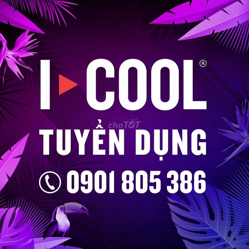 Icool – Tuyển Lễ Tân Karaoke ( TP.Vũng Tàu)