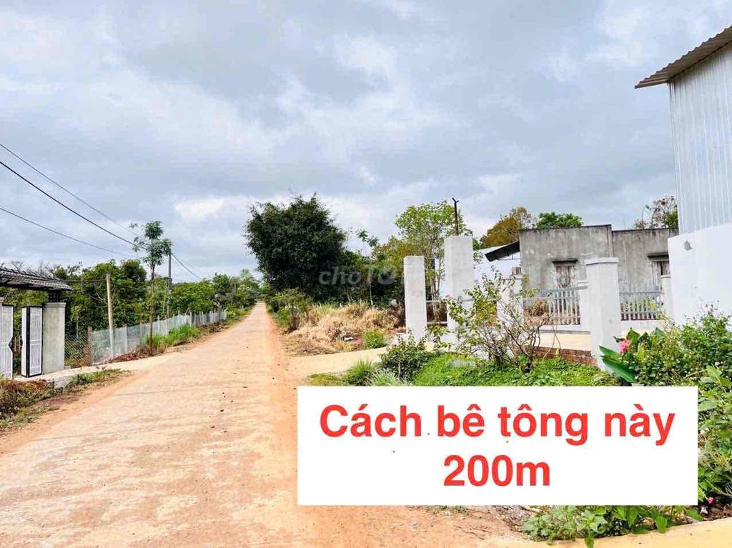 Bán đất thị trấn giá rẻ. Mua bán đất tại Huyện Ea Kar Đắk Lắk được đăng bởi Tứ Tài Lộc hình 2