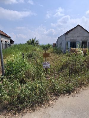 Bán đất     Cách QL19 50m Giá 4xxtr. Mua bán đất tại Huyện Tây Sơn Bình Định được đăng bởi Kim Sơn Hà