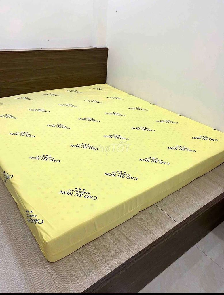 NỆM CAO SU NON AMERICAN FREE SHIP. Mua bán Giường, chăn ga gối nệm tại Quận Gò Vấp Tp Hồ Chí Minh được đăng bởi NỆM XANH hình 1
