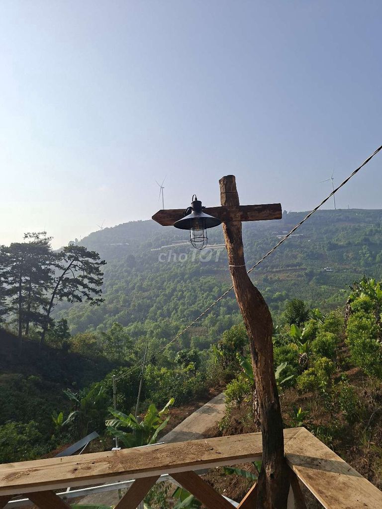 Bán Homestay view săn mây Cầu Đất