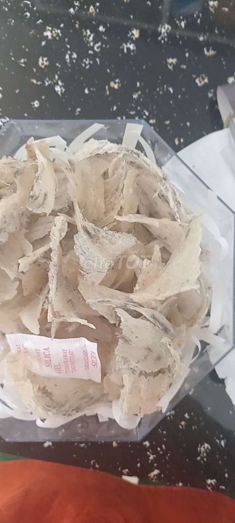 Chân yến thô sợi ít lông. Mua bán Đồ ăn, thực phẩm và các loại khác tại Huyện Thạnh Hóa Long An được đăng bởi Dương thị cẩm mộng hình 1