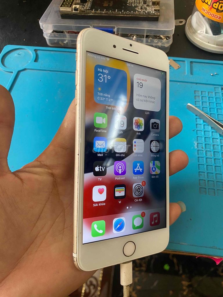 Apple iPhone 7 Plus Vàng Đã sử dụng. Mua bán Điện thoại tại Huyện Hóc Môn Tp Hồ Chí Minh được đăng bởi Bán Giá Tốt hình 1