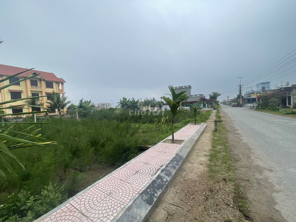 Bán đất thổ cư mặt biển bãi tắm Quất Lâm 85m huyện Giao Thuỷ