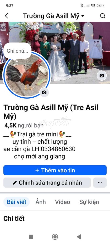 Ae cần gà tre asill mỹ ib. Mua bán Gà tại Huyện Chợ Mới An Giang được đăng bởi tre asil mỹ mini hình 1