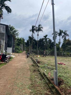 Tìm surius xăg cơ. Mua bán Xe máy tại Huyện Cư Kuin Đắk Lắk được đăng bởi Phan quốc hưng