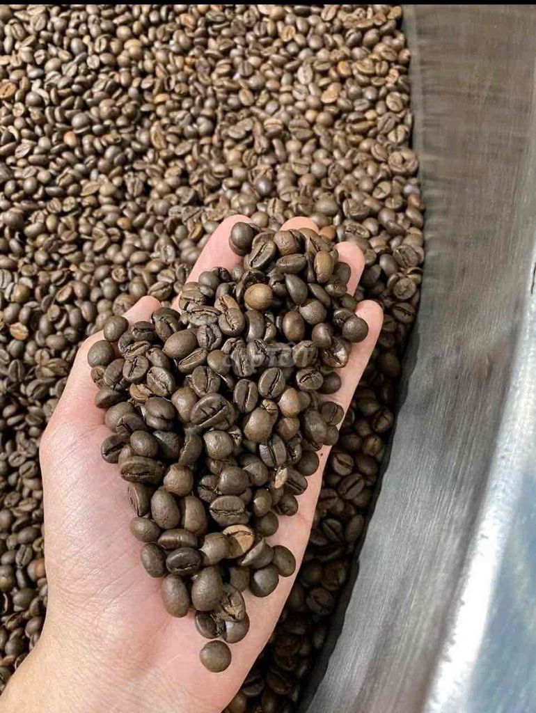 Cà phê hạt Nguyên chất  Coffee Đậm đà. Mua bán Đồ ăn, thực phẩm và các loại khác tại Thành phố Biên Hòa Đồng Nai được đăng bởi tran van hứa hình 1