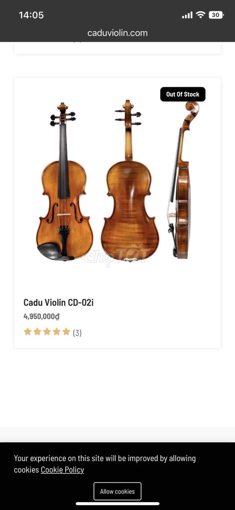 Đàn Violin The Cadu CD-02i. Mua bán Nhạc cụ tại Quận 12 Tp Hồ Chí Minh được đăng bởi Mua Bán đàn Organ hình 1