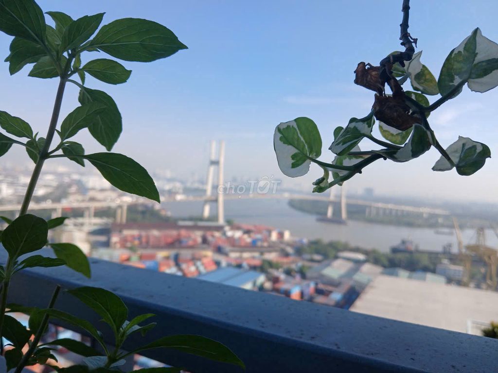 [GIÁ 6TY] LUXGARDEN Q7 CĂN 115M 3PN*2WC, SỔ HỒNG SẴN