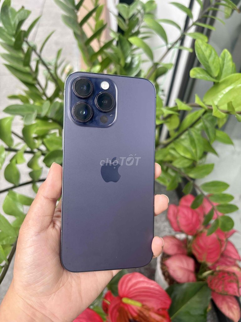 Thanh lý 14prm tím 256 giá rẻ. Mua bán Điện thoại tại Huyện An Dương Hải Phòng được đăng bởi Bùi Trang Như hình 1