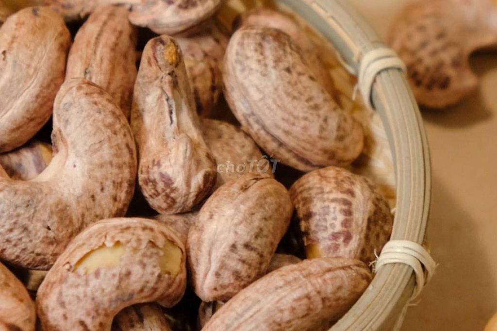 Hạt điều mộc, điều nguyên bản - Điều Bình Phước VN. Mua bán Đồ ăn, thực phẩm và các loại khác tại Quận Gò Vấp Tp Hồ Chí Minh được đăng bởi Sagonut hình 4