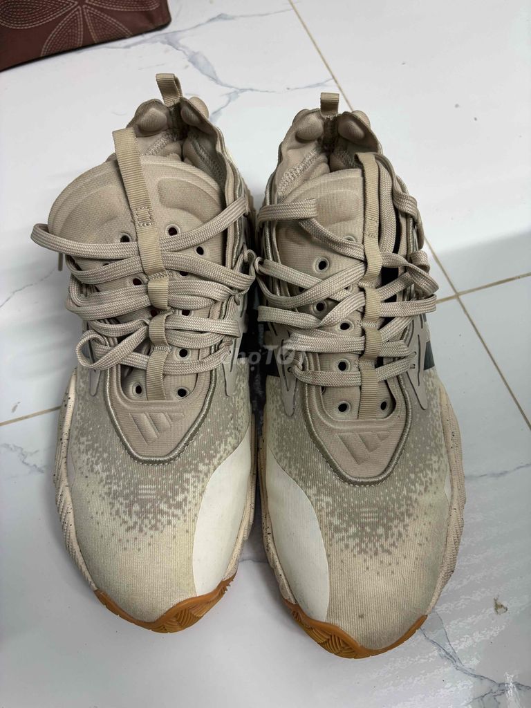 Em cần thanh lý giày Trea Young 3 size 43 1/3