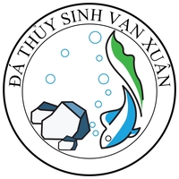 Đá Thủy Sinh Vạn Xuân