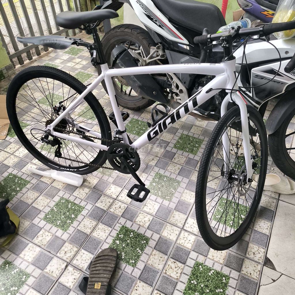 Xe đạp giant tay cong, được tặng nhưng nhầm size. Mua bán Xe đạp tại Quận Sơn Trà Đà Nẵng được đăng bởi Âu Dương Phong hình 2