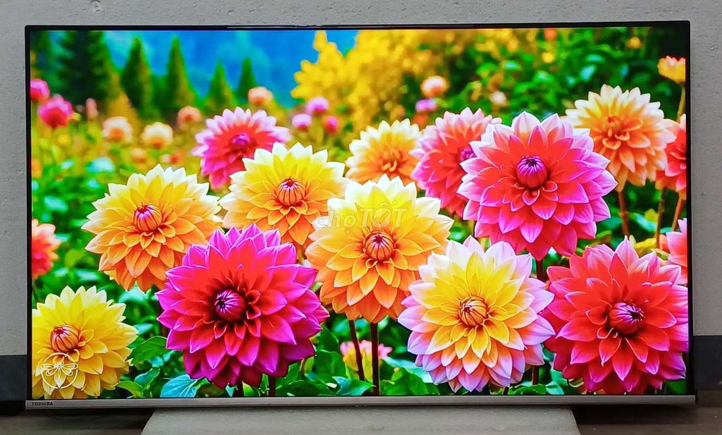 Tivi 55 inch 4k Toshiba full thùng bh 2 năm. Mua bán Tivi, Âm thanh tại Quận Ninh Kiều Cần Thơ được đăng bởi Luật Nguyễn hình 1
