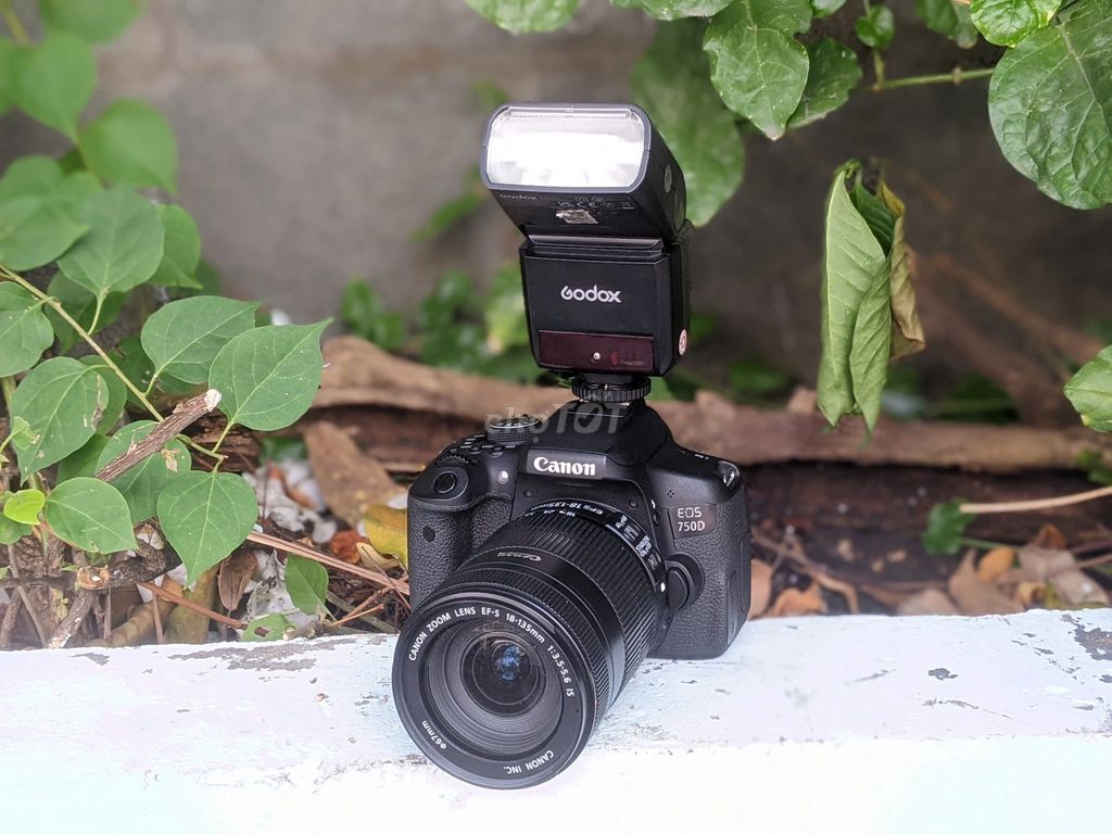 [Máy ảnh KTS] Canon 750D kèm lens 18-135 kèm flash. Mua bán Máy ảnh, Máy quay tại Quận 6 Tp Hồ Chí Minh được đăng bởi may anh KTS hình 1