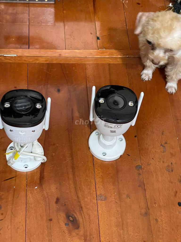 Camera an ninh Imou Trắng. Mua bán Máy ảnh, Máy quay tại Quận Hai Bà Trưng Hà Nội được đăng bởi Em Anh hình 1